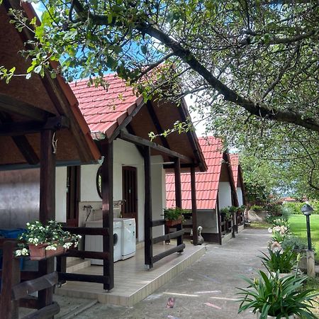 Camping Lukac آوتينا المظهر الخارجي الصورة