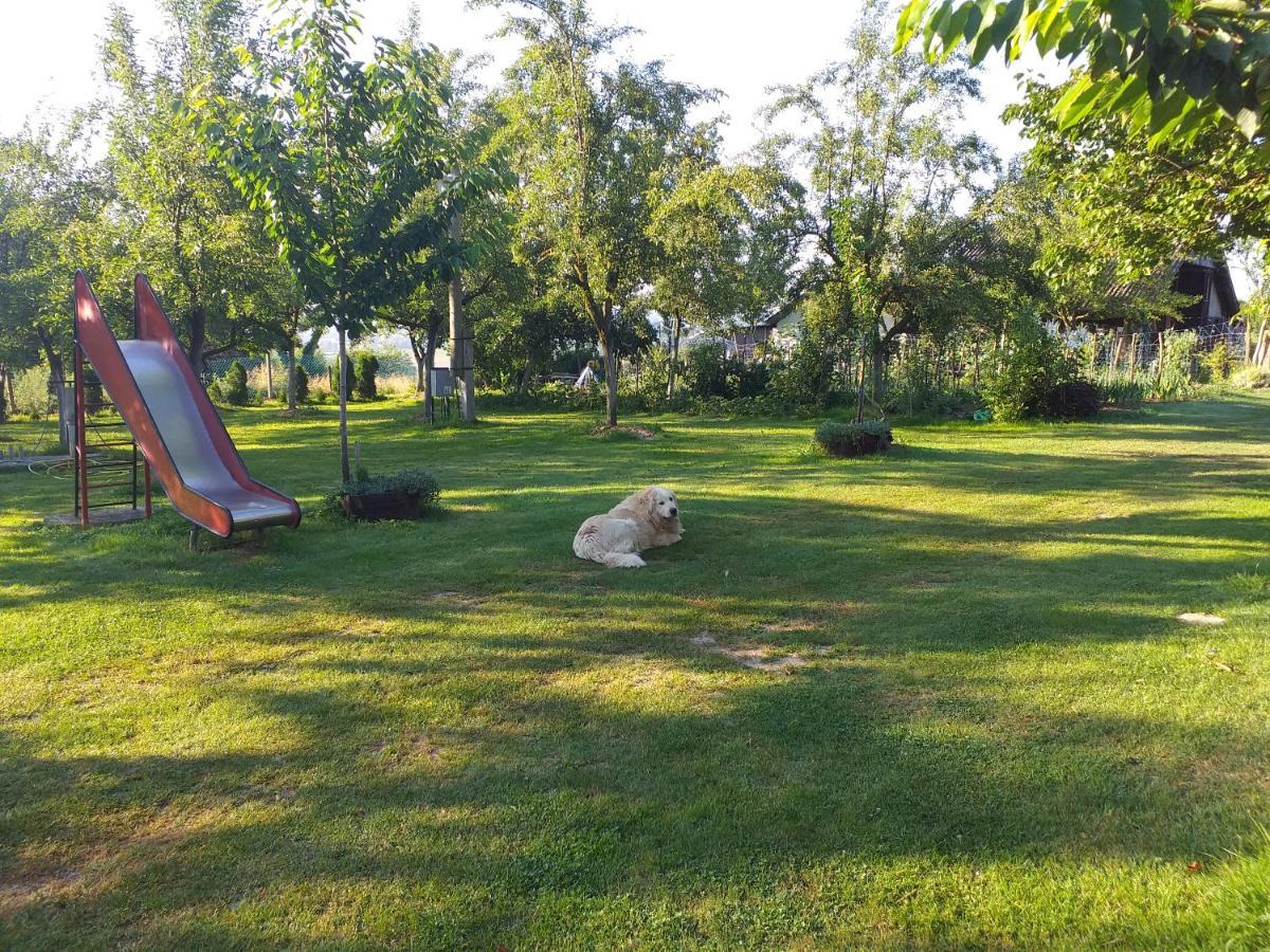 Camping Lukac آوتينا المظهر الخارجي الصورة