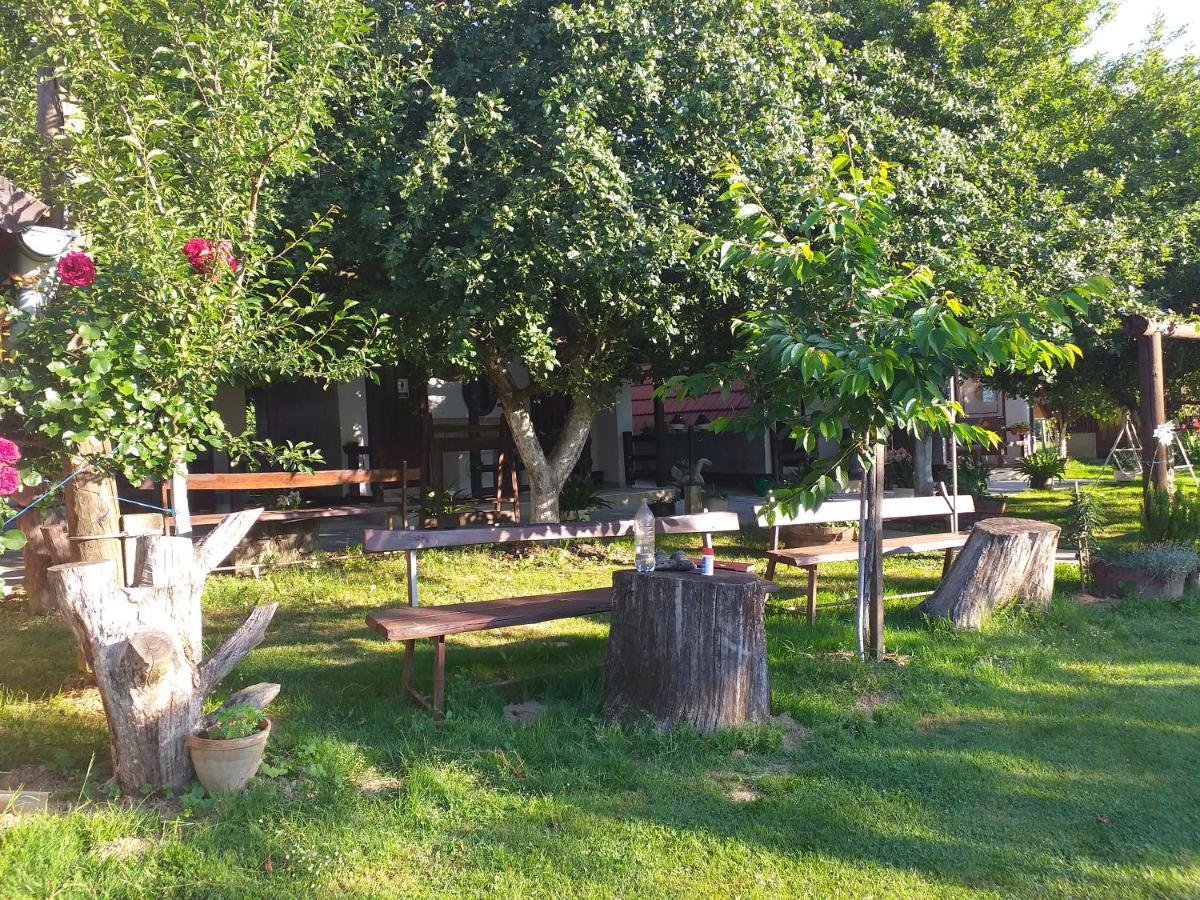 Camping Lukac آوتينا المظهر الخارجي الصورة